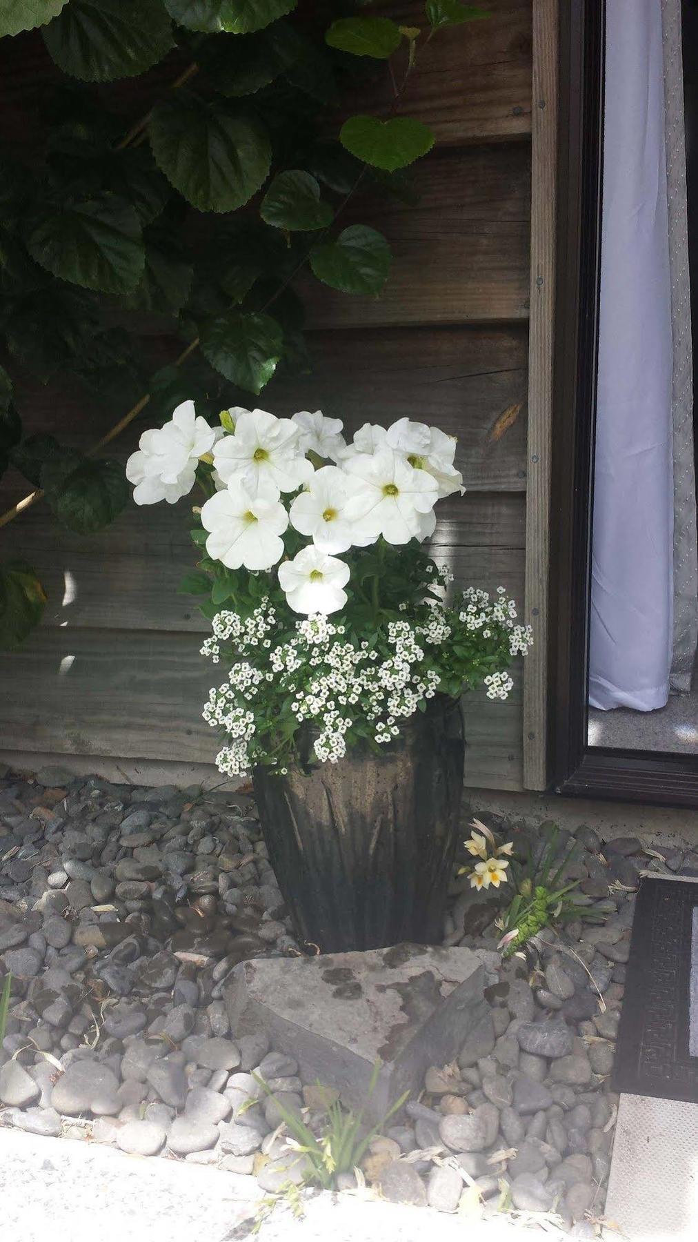 Opua Boutique Seaview Motel Kültér fotó